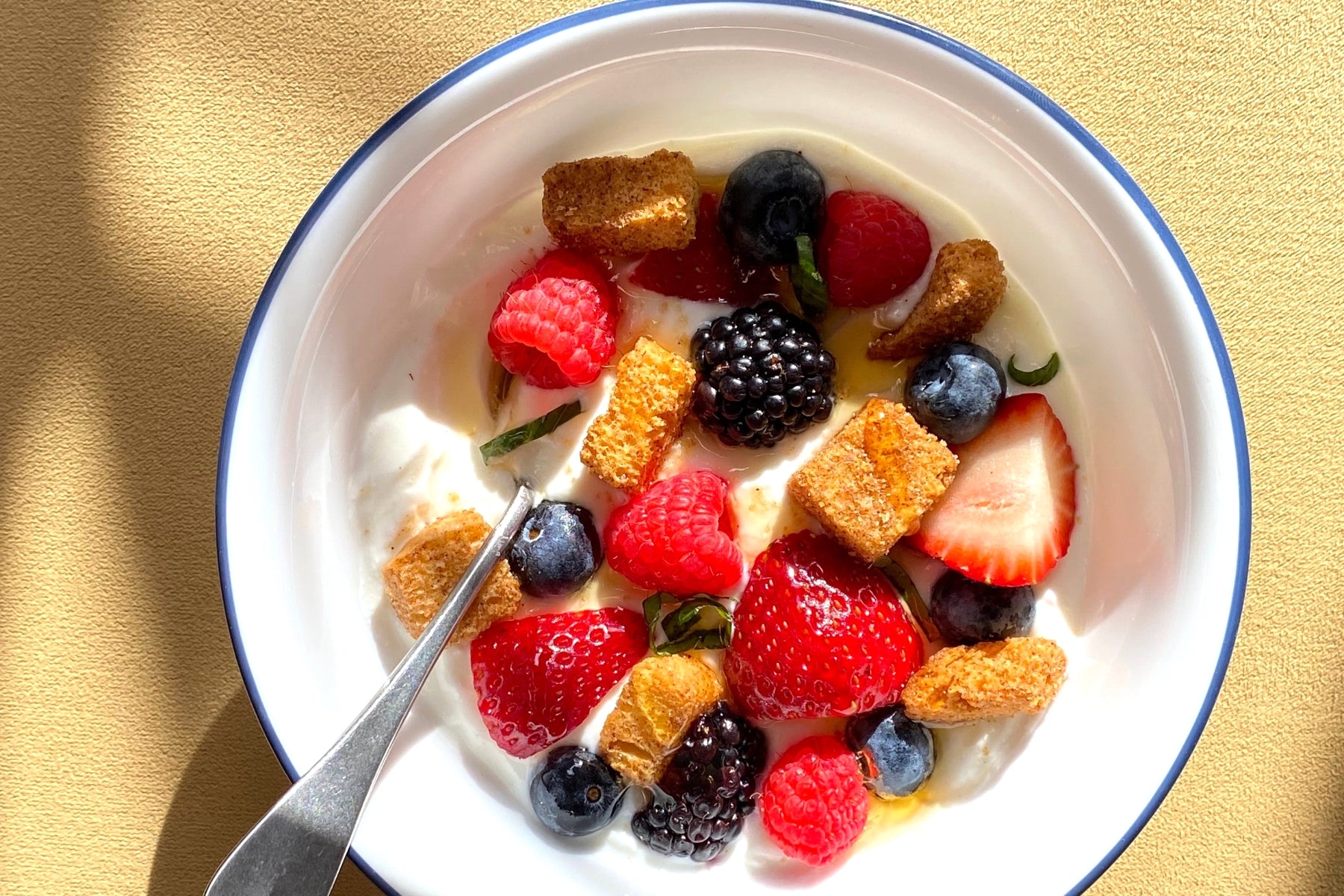 a bowl of yogurt with cinnamon croutons and berries in the sunlight.