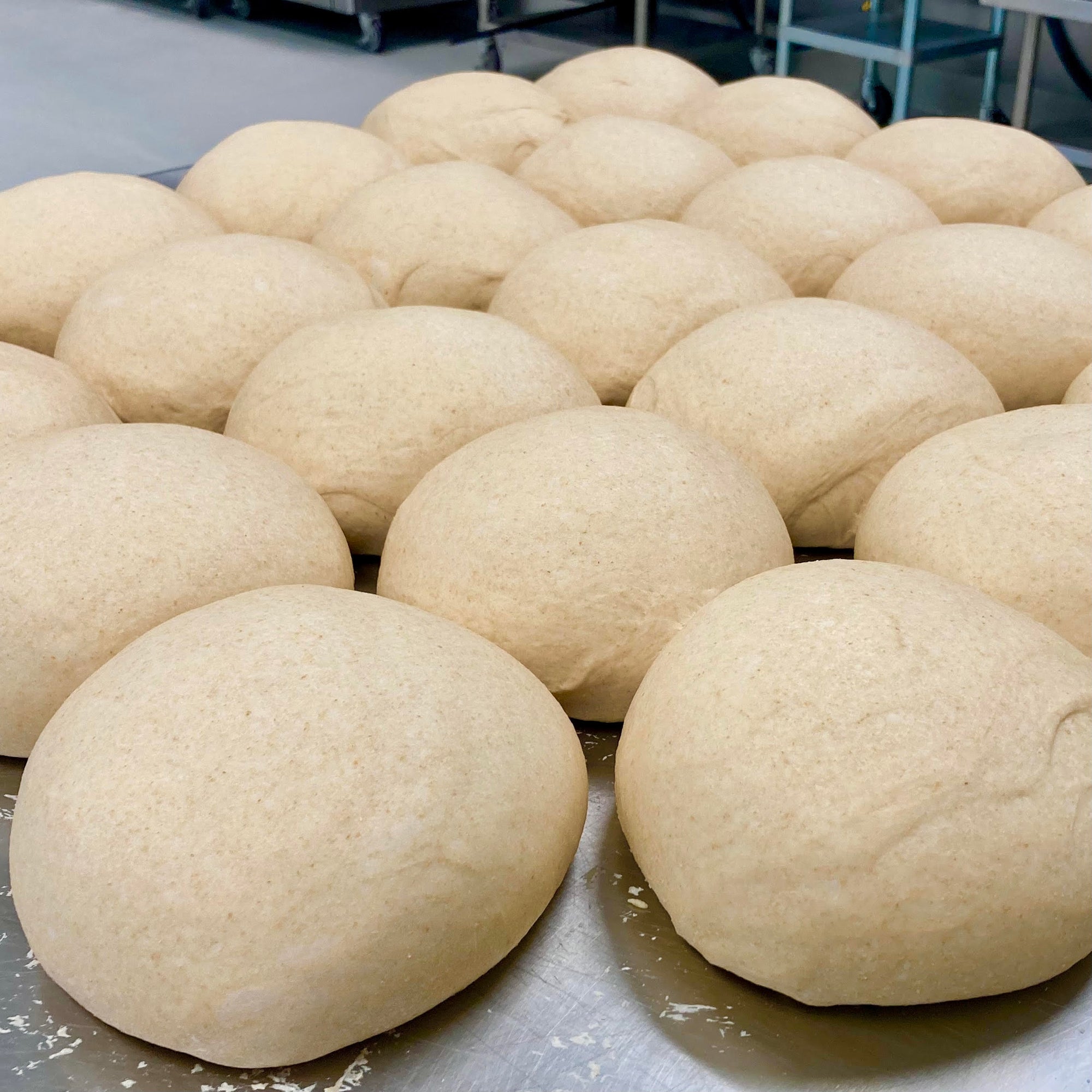 Raw bread dough in circular loaves positioned in a pattern on a metal kitchen work table.