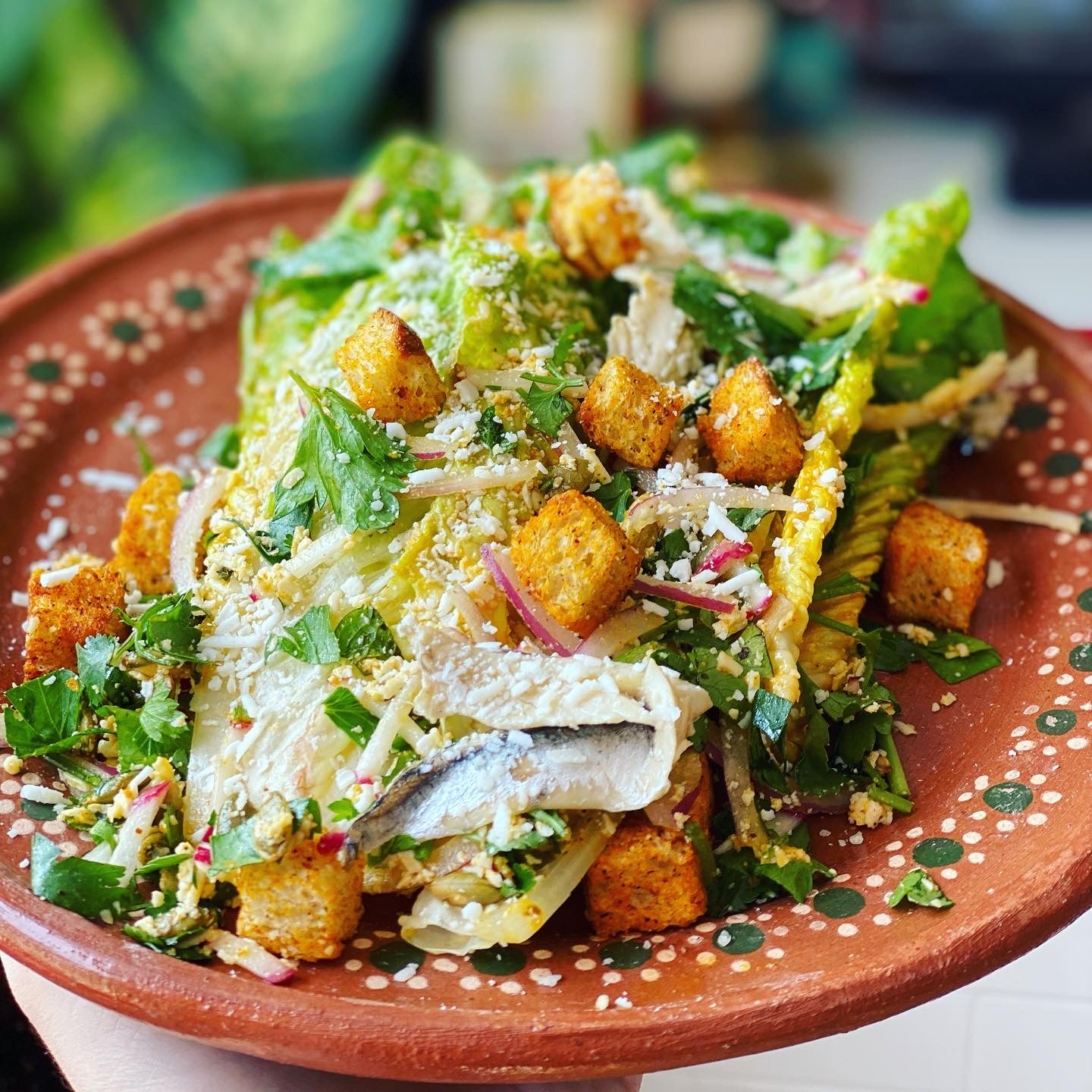 Festive plate of a salad with croutons, anchovies and cheese.